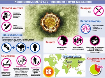 Профилактика гриппа, коронавируса и других ОРВИ : Фото №
