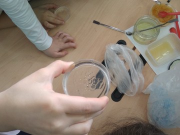 Второклассники на занятиях «Кванториума» научились отличать натуральный мёд от подделки : Фото №