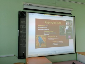 В онлайн-лагере изучили Красную книгу Чувашии и прогулялись по цветнику : Фото №
