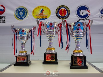 Представители #НОШ2 на Чемпионате и первенстве ПФО по каратэ WKC : Фото №