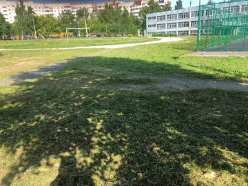 Покос травы и уборка территории от случайного мусора 25.06.2021 г. : Фото №