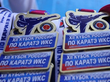 Юные каратисты #НОШ2 соревновались за XII Кубок Федерации каратэ России по версии WKC : Фото №