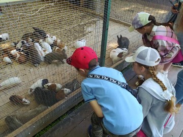 Поход в зооуголок «Ковчег» завершил летнюю смену онлайн-лагеря «Страна чудес» : Фото №