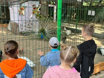 Ребята из группы кратковременного пребывания посетили зооуголок : Фото №