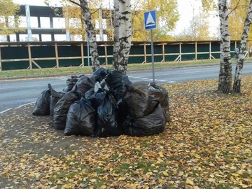 20 октября очередной субботник по уборке территории школы : Фото №