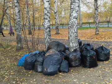 20 октября очередной субботник по уборке территории школы : Фото №