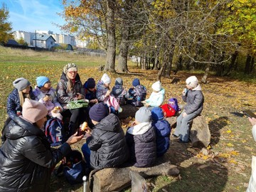Отряд юных волонтеров-экологов вышел на экскурсию в лес : Фото №